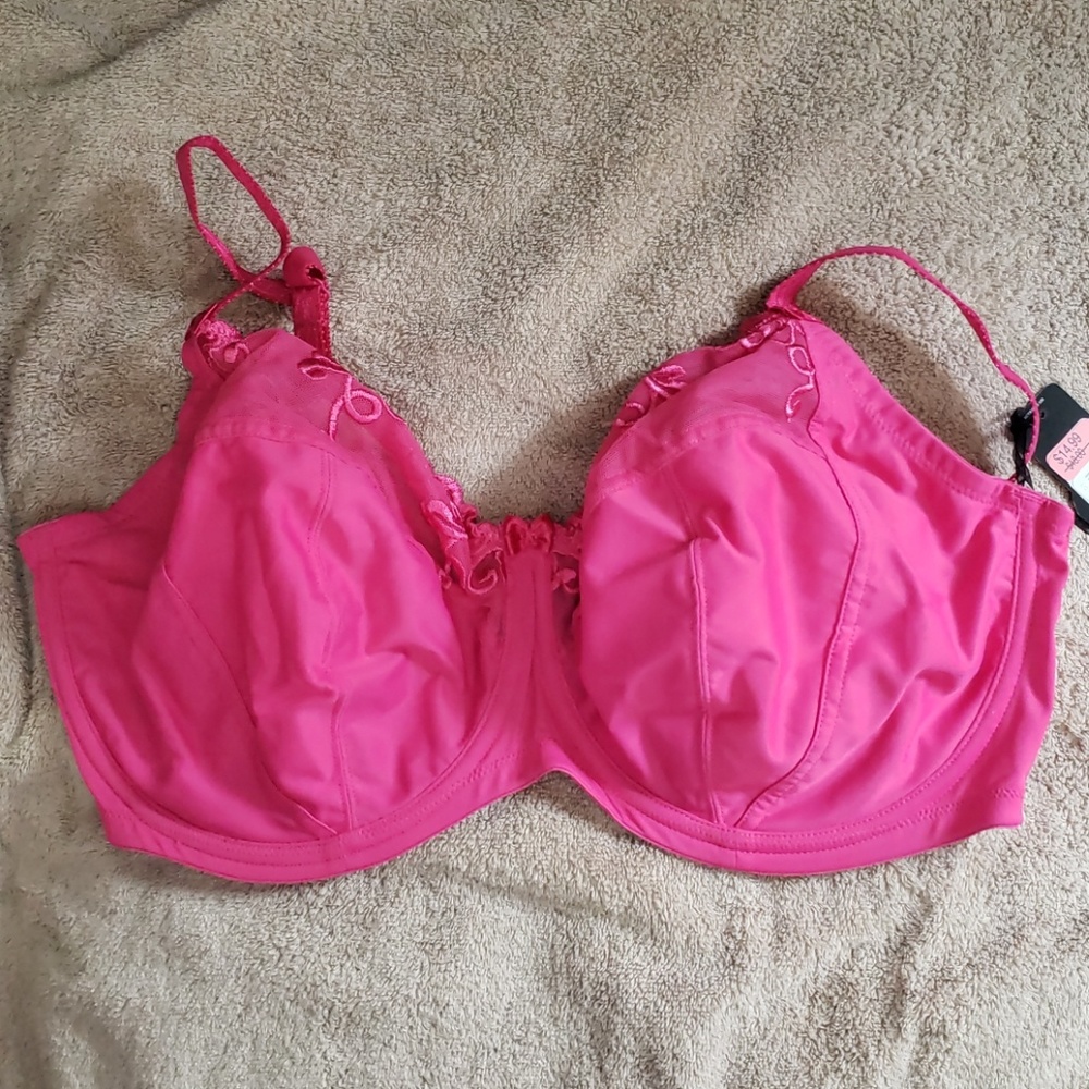 Hot Pink Bra